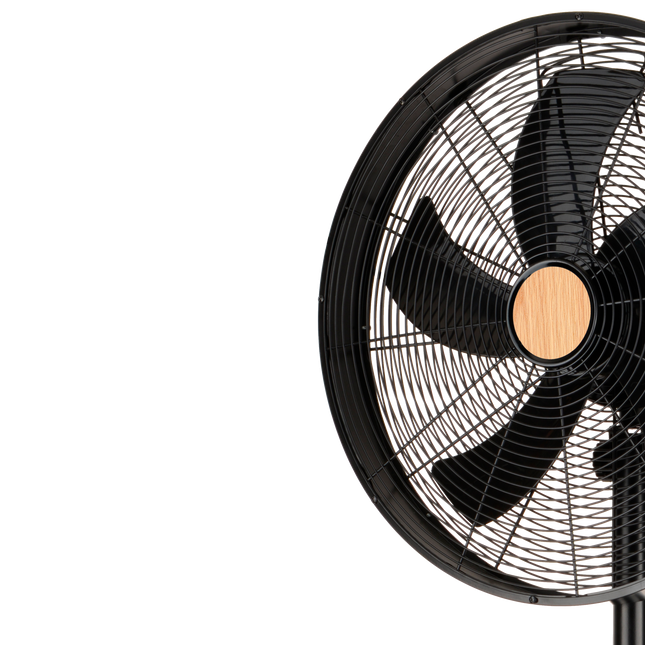 Ventilador de Pie Negro/Haya Exclusive