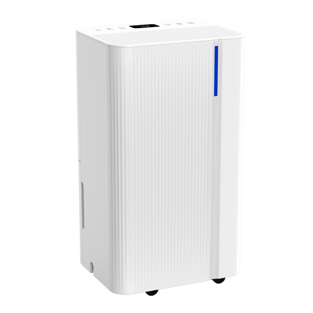 Deshumidificador portátil 10 L/día con filtro de carbón activo 