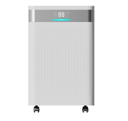 Deshumidificador portátil 20 L/día con filtro 