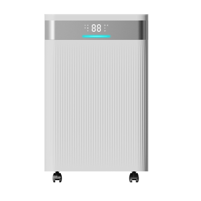 Deshumidificador portátil 20 L/día con filtro 