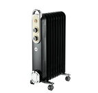 2000 W