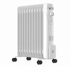 2500 W