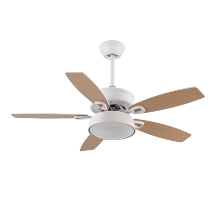 Ventilador de techo Braw blanco con aspas blanco y haya, otra vista