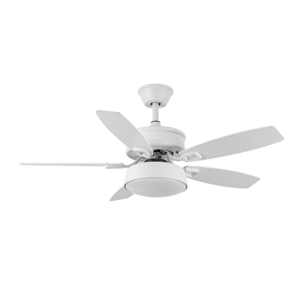 Ventilador de techo con luz y 5 aspas reversibles 107 cm, modelo Braw – FAN PROJECT